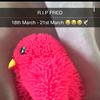 siena_cooper - @fed_cooper - TikTok