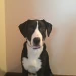 Siena - @siena.larson - Instagram