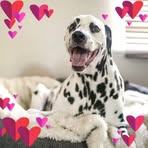 Siena Parsons - Facebook