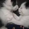 SienaRamirez - @moisesbarba3 - TikTok