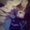sienasmallan436 - @sienasmallan436 - TikTok