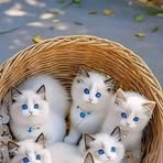 Smail Sanae - Facebook