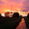 Siena Young - @siena.young - TikTok
