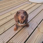sienna alison rose macphersons - @siennaalisonrose - Instagram