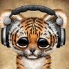 sienna Atkinson  - @tigerlover723 - TikTok