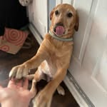 Sienna - @sienna_baxter12 - Instagram