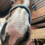 Sienna beardsley - @siennabeardsley - Instagram