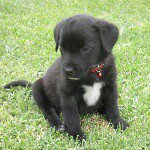 sienna bishop 2006 - @siennabishop06love - Instagram