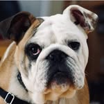 Siennabishop - @siennabishop2 - Instagram