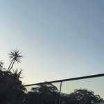 Sienna Bryant - @sienna_b2905 - Instagram