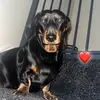 Sienna Cameron - @sienna.cameron64 - TikTok