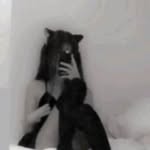 Sienna chang - @lunars.isolophobia8877 - Instagram