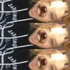 ✨SIENNA✨ - @sienna_cobb - TikTok