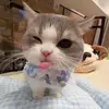 Sienna_crane😑 - @sienna_crane - TikTok