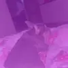 Sienna😜😜😜😜 - @siennacurry1 - TikTok