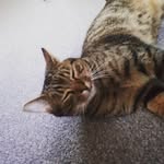 siennagreen or siennacurry - @siennagreencurry - Instagram