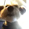 Sienna Carly gates - @sienna.gates - TikTok