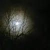 sienna.guy - @sienna.guy2 - TikTok