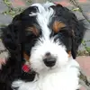Sienna Sherbertes - @siennasherbertes - TikTok