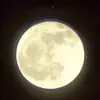 Sienna - @hicks.sienna - TikTok