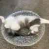 sienna.hooper - @sienna.hooper - TikTok