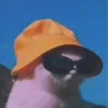 Sienna.howell - @sienna.howell - TikTok