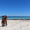 sienna - @_sienna.james - TikTok