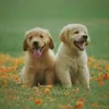 siennajensen8 - @siennajensen8 - TikTok