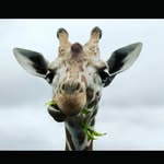 Sienna Jimenez - @sienna_spam23 - Instagram