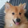 Sienna Kenney - @sienna.kenney - TikTok