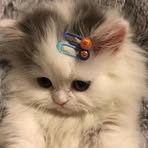 Sienna Kydd - Facebook
