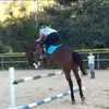 thatbayponayyy  - @sienna.koch - TikTok
