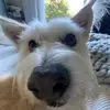 sienna - @siennalynchspam - TikTok