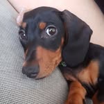 Sienna MacDonald - @belever_unicorns - Instagram