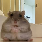 Sienna Marquez - Facebook