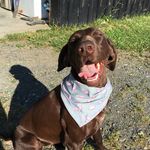 Sienna Mason - @jager_thegsp - Instagram