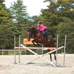 Sienna Mason - @sienna_equstrian - Instagram