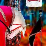Sana Meer - Facebook