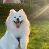 sianna mccartney - @sianna.mccartney - TikTok
