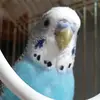 siennapark - @siennapark - TikTok