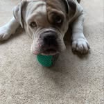 @sienna_petersen_ - Instagram