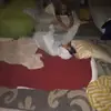siena pierce - @sienapierce - TikTok