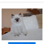 Siennapierce - @ccmariepierce - Instagram