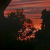 𖣂 - @sienna.powers5 - TikTok