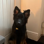 Sienna Robinson - @siennarobinson39 - Instagram