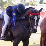 SIENNA ROBINSON 🇦🇺 - @siennarobinson_eq - Instagram