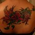 Sienna Rogers - Facebook