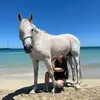 Sienna Ross - @sbrequestrian - TikTok