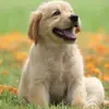 user7194437764946 - @sienna..ross - TikTok