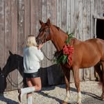 𝐒𝐢𝐞𝐧𝐧𝐚 𝐑𝐨𝐰𝐞 - @sienna.rowe.dressage - Instagram